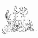 Funghi Flowers Fungi Ferns Champignons Stems Morel Doodles Outlines Champignon Pilz Stencils Gilda เล บ อร อก เห sketch template