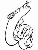 Eel Eels Fish sketch template