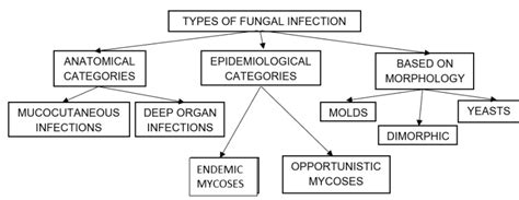 Fungi And Endocrine Dysfunction Endotext Ncbi Bookshelf