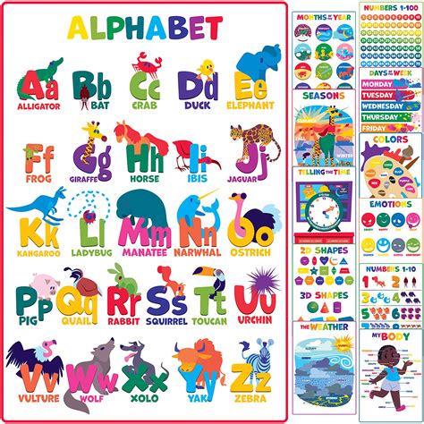 buy youngever  pack laminated educational preschool posters  toddlers  kids learning