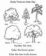 Arbor Pflanze Baum Ausmalbilder Coloringhome sketch template