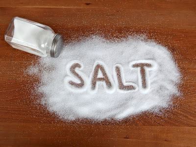 wright wreport pure study  salt  critics  shook