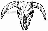 Cow Longhorn Skulls sketch template