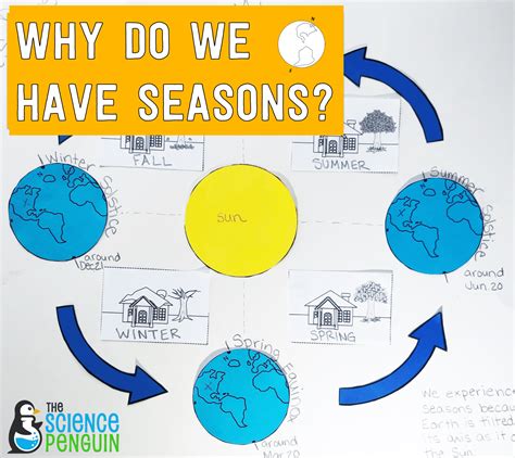 seasons interactive diagram  science penguin