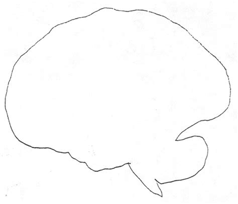 brain blank diagram clipart