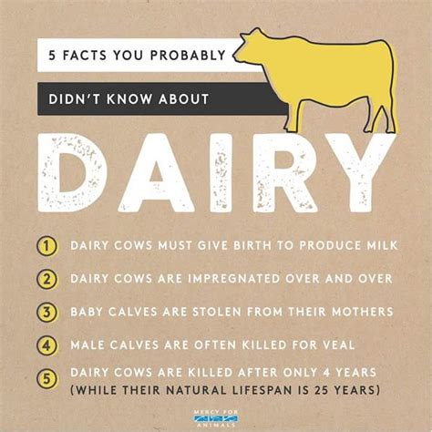 vegan memes and infographics infographix directory