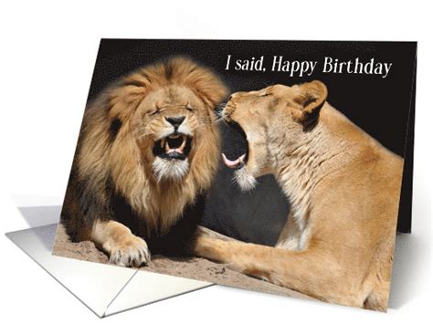 funny birthday lion  lioness couple card