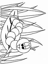 Worm Coloring Pages Printable Cartoon Popular Library Clipart Sketch Books sketch template