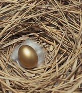 白い羽の卵 チャプター に対する画像結果.サイズ: 163 x 185。ソース: amanaimages.com