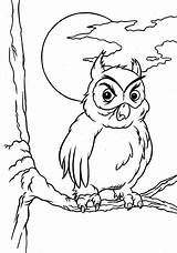 Hibou Coloriages Colorier 1491 Printcolorcraft sketch template