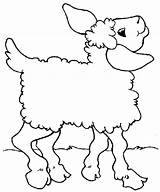 Coloring Lamb Posing Chops Sheets Spring Dancing Template Coloringsky sketch template