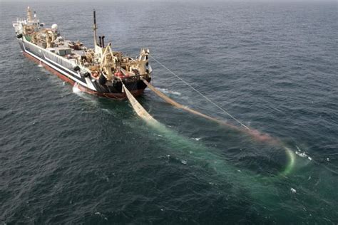 solutions  stop overfishing deepoceanfactscom