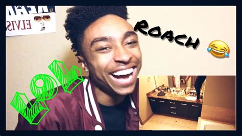 dkl roach prank reaction atfredthegreat youtube