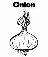 Coloring Pages Onions Kids Onion sketch template