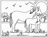 Jument Horses Foal Imprimer Coloriages Cheval sketch template