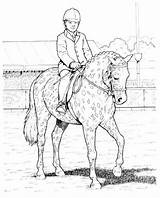 Show Pages Coloring Horse Jumping Pony Boy Horses Printable Color Getcolorings Pferde Jp Gemerkt Von sketch template