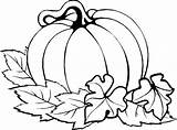 Pumpkin Coloring Pages Fall Thanksgiving sketch template