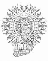 Mandalas Wands Wizards Coloriage Creatures Getcolorings Weasley Hermione sketch template