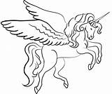 Winged Unicorns Adults Mythical 101coloring 101activity sketch template