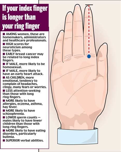 Maleness Finger Length And Digit Ratio Hand News