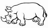 Hewan Mewarnai Rhinoceros Sketsa Darat Binatang Salvajes Kumpulan Singa Terbaru Gambarcoloring Rhinos Berkaki Bestcoloringpagesforkids Jumanji Wallpapertip Animasi Fauna Pinclipart sketch template