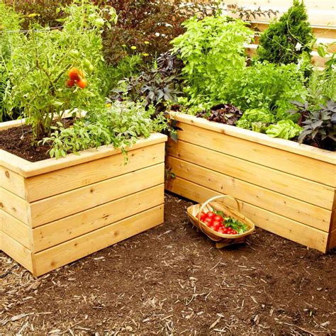 simple planter boxes  easy  build  family handyman