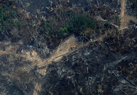 amazon rainforest burns at a record rate raises int l concern