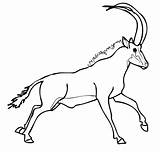 Antelope Sable Wildebeest sketch template