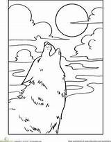 Coloring Wolf Howling Worksheets Moon Pages Worksheet Howl Wolves Drawing Printable Education Activities Kids Cub Drawings Animal 386px 23kb Visit sketch template