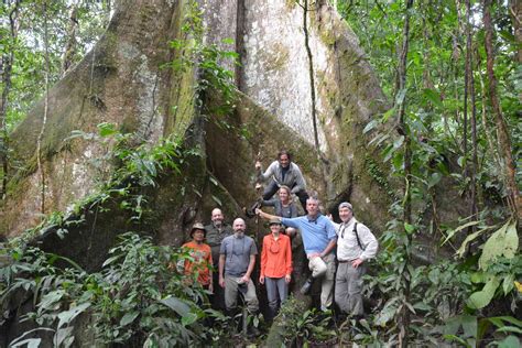 amazon rainforest travel tours untamed path adventures
