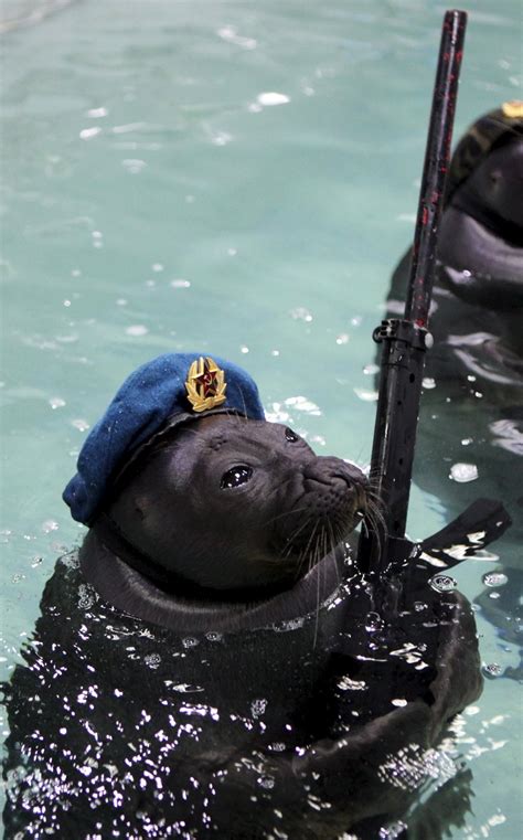 Russian Navy Seals Laststandonzombieisland