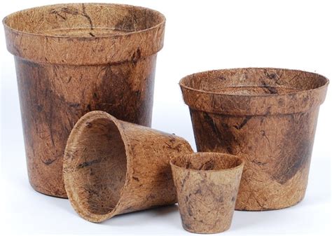 biodegradable  compostable pots  plastic pots cups leader
