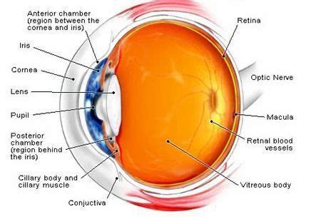 cornea services   price  secunderabad id