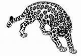 Jaguar Jaguares Coloriage Dibujo Animaux Mural Colorea Coloriages sketch template