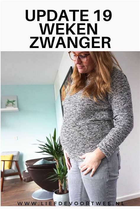 update  weken zwanger met afbeeldingen  weken zwanger zwanger zwangere buik
