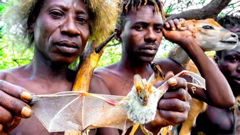 raiding  baboon camp  hadza hunter gatherers  tanzania camping