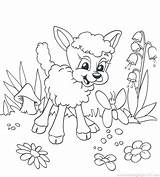 Coloring Lamb Lion Boom Had Chicka Pages Mary Easter Little Drawing Getcolorings Getdrawings Fresh Lambs Popular Paintingvalley Colorings sketch template