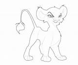 Vitani Lion King Pages Coloring Kopa Template Nuka Scar sketch template