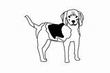 Walker Coonhound Treeing Fabrica sketch template