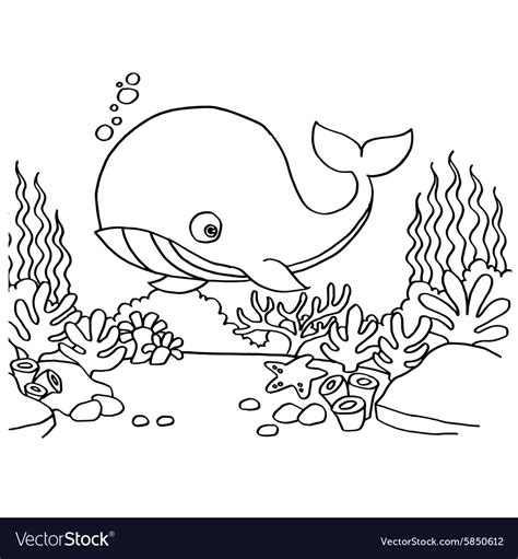 whales coloring pages royalty  vector image