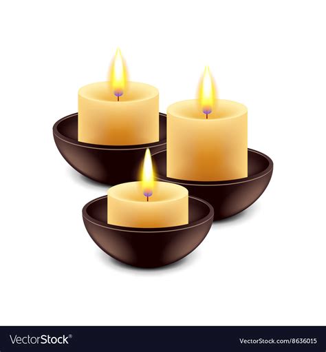 spa candles isolated  white royalty  vector image