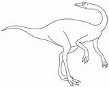 Ornithomimus Ausmalbilder Gallimimus Compsognathus Ausmalbild Baryonyx Dinosaurier Raptor sketch template