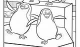 Madagascar Penguins sketch template