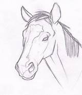 Horse Head Draw Drawing Horses Heads Drawings Easy Realistic Pencil Deviantart Animal Sketch Getdrawings Line Yahoo Outline Search Sketches Simple sketch template