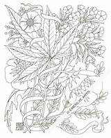 Coloring Pages Weed Adult Stoner Marijuana Stencil Leaf Printable Plant Books Drawing Hemp Color Print Pot Trippy Colouring Tattoo Jane sketch template