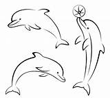 Dolphin Delfini Ausdrucken Delphin Contours Dolphins Malvorlagen Ausmalbilder Gratis Delfin Pictogram Delfines sketch template