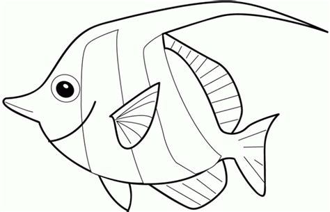 ocean fish drawing  getdrawings