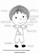 Corporeo Schema Schede Didattiche Scheda Fantavolando Umano Bambino Scaricate sketch template