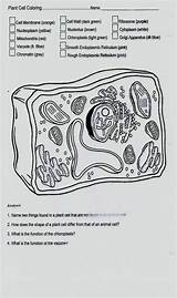 Cell Coloring sketch template