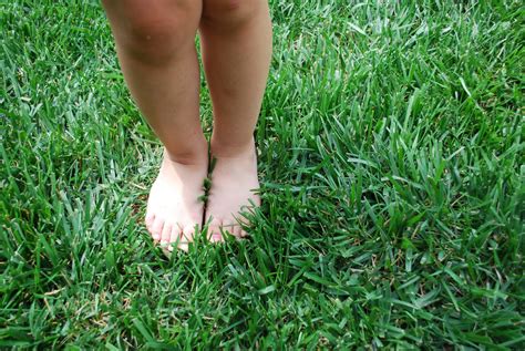 bare feet   grass  stock photo public domain pictures